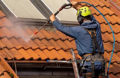 Démoussage et hydrofuge de toiture à Boisyvon